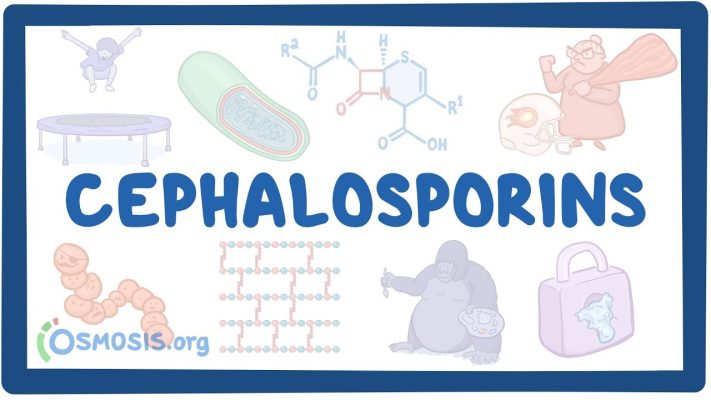 Dị ứng với Cephalosporin dường như không phải là một dị ứng của cả nhóm.